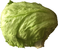 Lettuce
