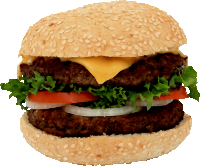 Burger 2