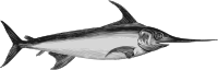 Swordfish 2