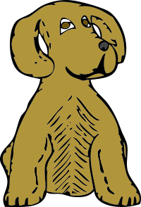 dog front view