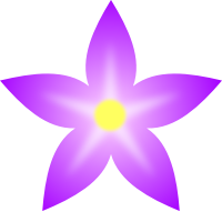 Flower 80