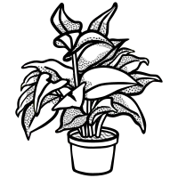potted plant - lineart