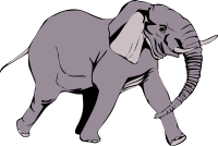 Architetto -- Elefante in corsa