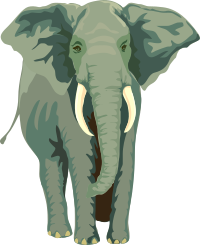 Architetto -- Elefante 01