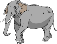 Architetto -- Elefante 02