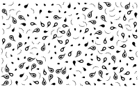 Paisley Background