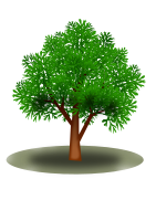 Tree 21102016