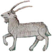 Capricorn