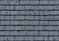 Wet roof tiles 3