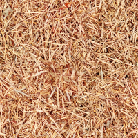Straw