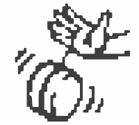 Yoyo