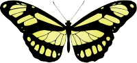 Butterfly 15 (yellow)