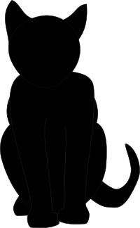 Black Cat
