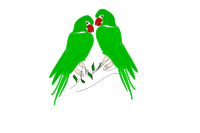 Parrot