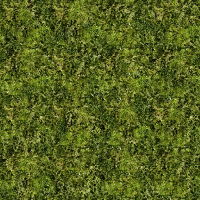 Grass 4