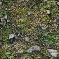 Rocky ground