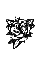 rose, flower, rosa, flor