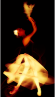 Ballet Golden Light Dove Ballerina Suite