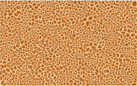 Giraffe Skin Pattern Design