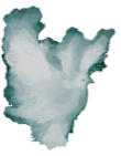 Dove Fantasy White Night Flight