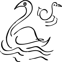 swan