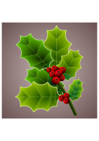 Holly branch 3