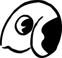 rabbit head