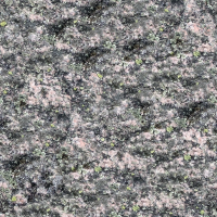 Lichen covered stone 2