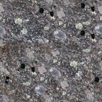 Lichen covered stone