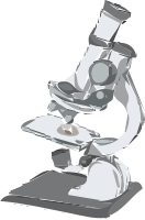 Images to be Vectorized 3