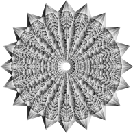 XRay Mandala
