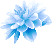 Blue flower