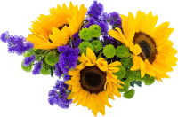 Flowers 8