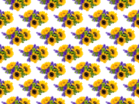 Flower pattern 6