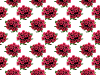 Roses pattern
