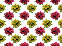 Roses pattern 2