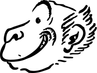 monkey profile