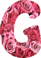 Alphabet 15, G