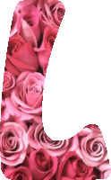 Alphabet 15, L