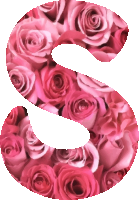 Alphabet 15, S