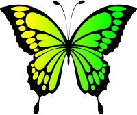 Butterfly Yellow Green