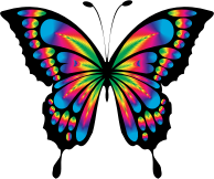 Prismatic Butterfly Remix