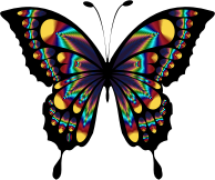 Prismatic Butterfly Remix 2