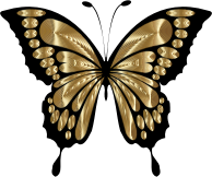 Prismatic Butterfly Remix 3