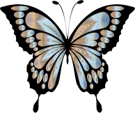 Prismatic Butterfly Remix 4