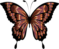Prismatic Butterfly Remix 5