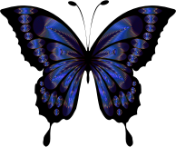 Prismatic Butterfly Remix 6