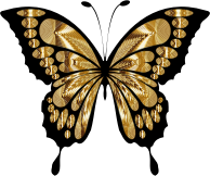 Prismatic Butterfly Remix 7