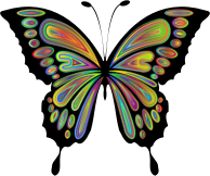 Prismatic Butterfly Remix 9