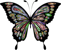 Prismatic Butterfly Remix 11